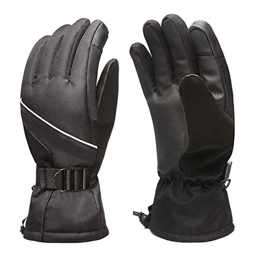 Ski Gloves